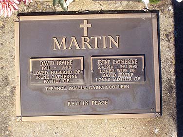 DAVID IRVINE MARTIN