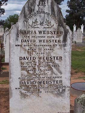 DAVID WEBSTER
